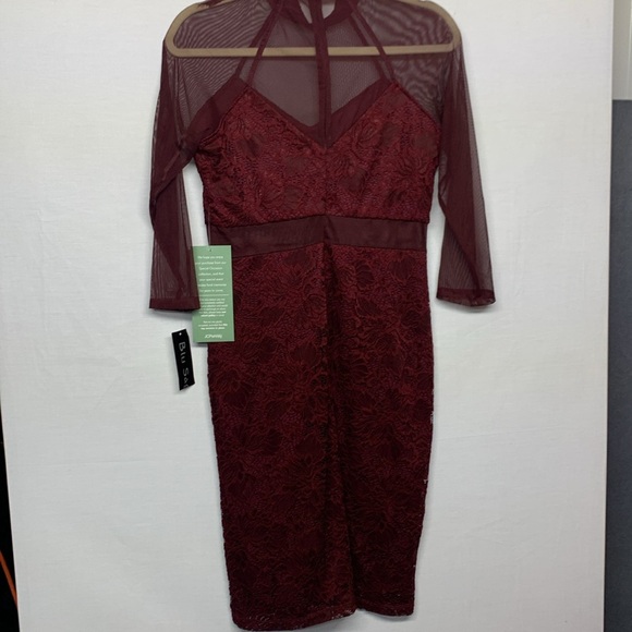 Blu Sage Burgundy Lace Dress with Sheer Details - Picture 9 of 11